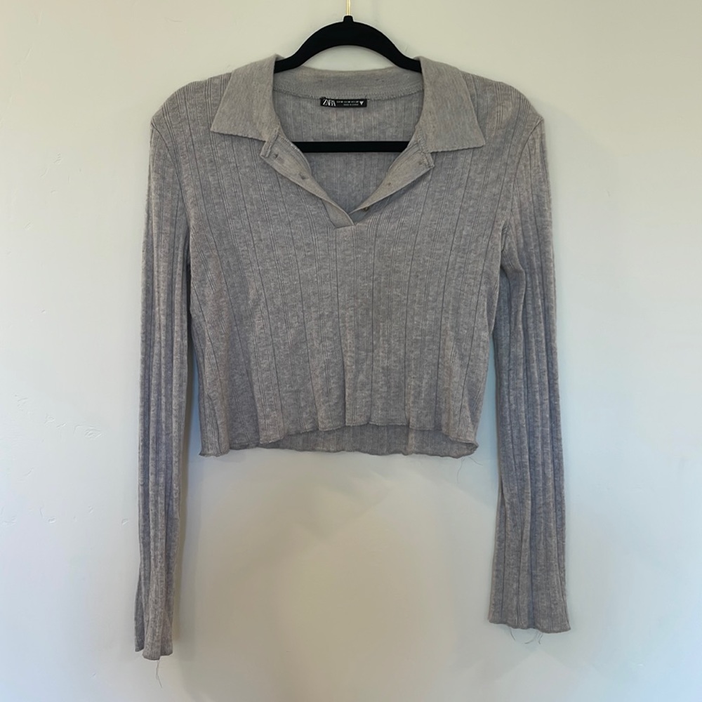 Zara long sleeve crop top